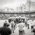 Andrés Núñez, fotografía