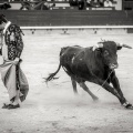 Andrés Núñez, fotografía