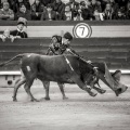 Andrés Núñez, fotografía