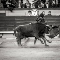 Andrés Núñez, fotografía