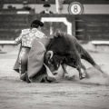 Andrés Núñez, fotografía