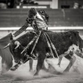 Andrés Núñez, fotografía