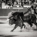 Andrés Núñez, fotografía