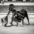 Andrés Núñez, fotografía