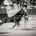 Andrés Núñez, fotografía