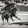 Andrés Núñez, fotografía