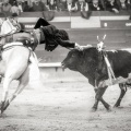 Andrés Núñez, fotografía