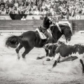 Andrés Núñez, fotografía