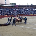 Feria de la Magdalena 2017