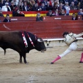 Feria de la Magdalena 2017