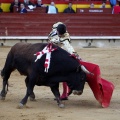 Feria de la Magdalena 2017