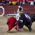 Feria de la Magdalena 2017