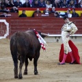 Feria de la Magdalena 2017