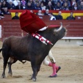 Feria de la Magdalena 2017