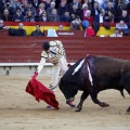 Feria de la Magdalena 2017