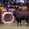 Feria de la Magdalena 2017