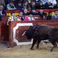 Feria de la Magdalena 2017