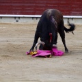 Feria de la Magdalena 2017