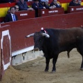 Feria de la Magdalena 2017