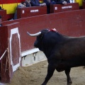 Feria de la Magdalena 2017