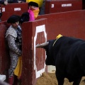 Feria de la Magdalena 2017