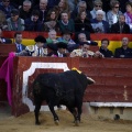 Feria de la Magdalena 2017