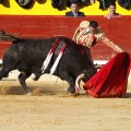 Feria de la Magdalena 2017