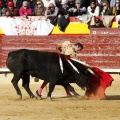 Feria de la Magdalena 2017