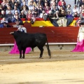 Feria de la Magdalena 2017