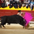 Feria de la Magdalena 2017