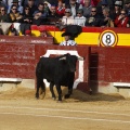 Feria de la Magdalena 2017