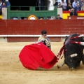 Feria de la Magdalena 2017