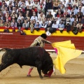 Feria de la Magdalena 2017