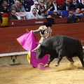 Feria de la Magdalena 2017