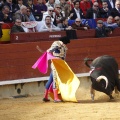 Feria de la Magdalena 2017