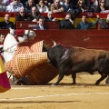 Feria de la Magdalena 2017