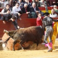 Feria de la Magdalena 2017