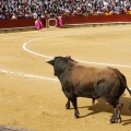 Feria de la Magdalena 2017