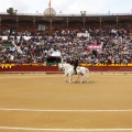 Feria de la Magdalena 2017