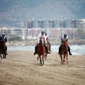 Curses per la Joia