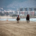Curses per la Joia