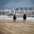 Curses per la Joia