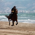 Curses per la Joia