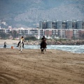 Curses per la Joia