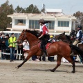 Curses per la Joia