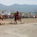 Curses per la Joia