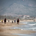 Curses per la Joia