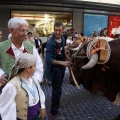 Fiestas de la Mare de Déu del Lledó