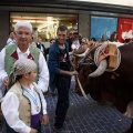 Fiestas de la Mare de Déu del Lledó