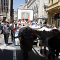 Fiestas de la Mare de Déu del Lledó